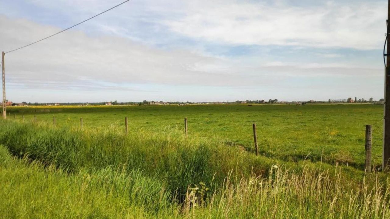 AreaSummer20KM AreaSummer20KM